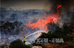 Số thương vong gia tăng trong vụ cháy rừng tại Bồ Đào Nha